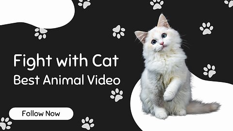 Cats Fight with love