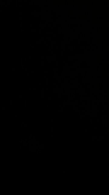 When two countries go to war, bankers profit