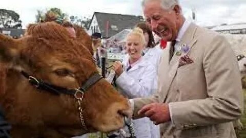 VIRAL NEWS! RED HEIFER ASTOUNDING KING VERIFICATION THE THIRD TEMPLE & THE BLOOD COVENANT WITH MANY!