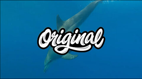 Bliss – Luke Bergs (No Copyright Music)