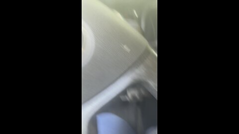 Getting Nala out of van