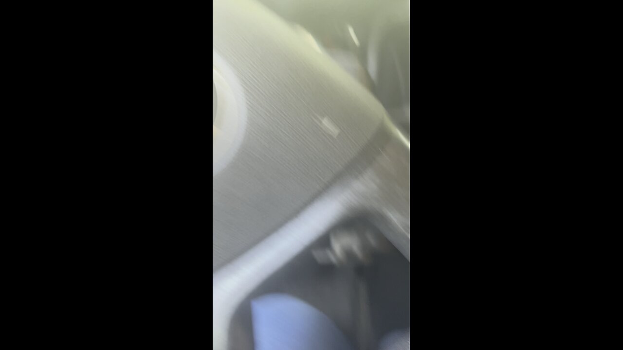 Getting Nala out of van