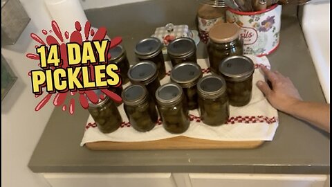 14 Day Pickles!