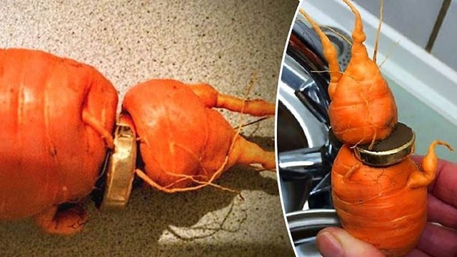 Starac pronasao prsten