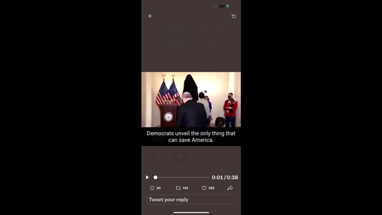 Democrats unveil the only thing that can save America