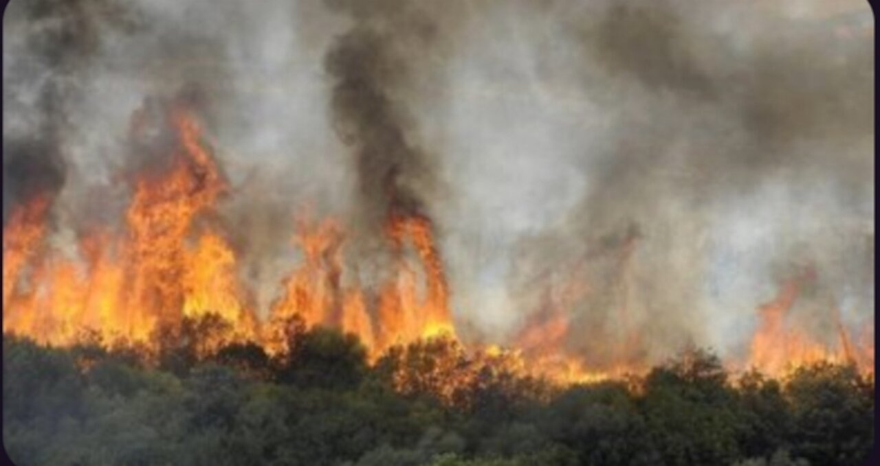 Départ de feux de forêts plus que suspect en Kabylie