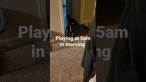 playing at 5am in morning