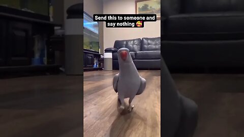 Tag that special person 🥰🤣.. Follow @motomotomastenbroek 🙏❤️ #love #cute #funny #family #happy #smil