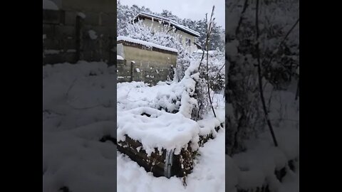 Winter Wonderland ... Ein Winterwunder ... #shorts