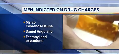 Men indicted on drug charges