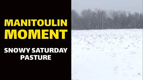 MANITOULIN MOMENT: Snowy Saturday Pasture