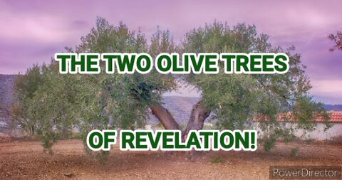The Two Olive Trees Of Revelation.