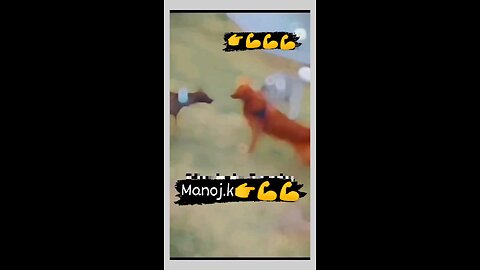 Funny videos🤣 /Not Stop Fun 🤣#viral #trending #shorts #feels #reels#dance #funny #todayviral