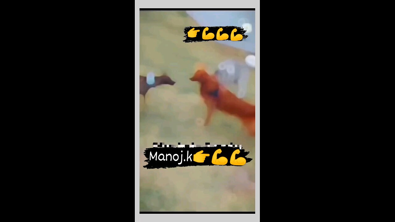 Funny videos🤣 /Not Stop Fun 🤣#viral #trending #shorts #feels #reels#dance #funny #todayviral