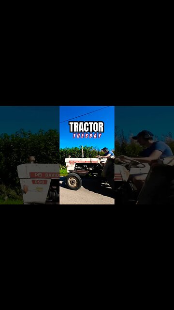 David Brown 990 Tractor Tuesday!