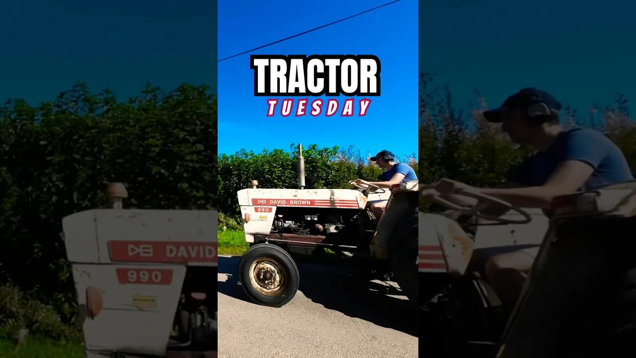 David Brown 990 Tractor Tuesday!