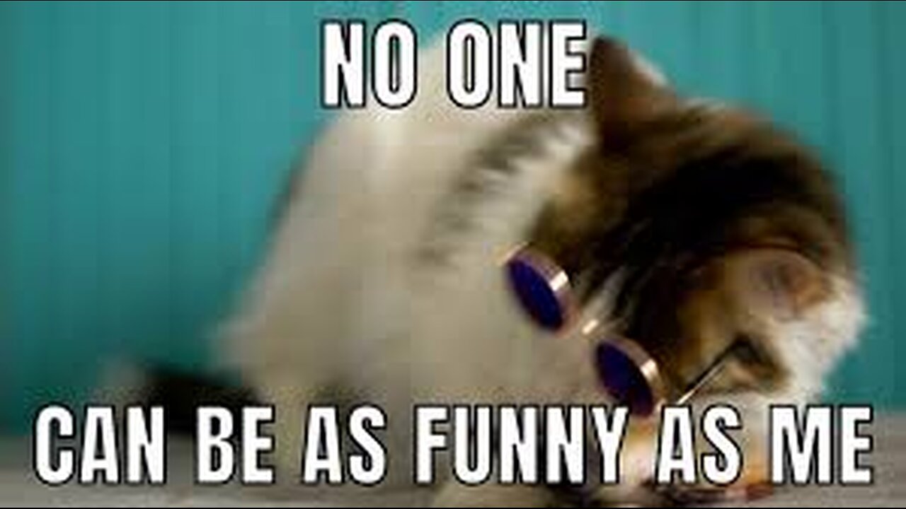 Random Funny Videos Part 4: Hilarious Moments That Will Make You Laugh!