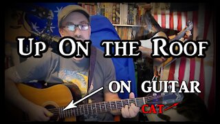 Up On the Roof on Guitar (with my cat)