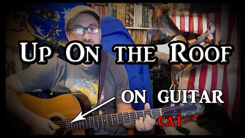 Up On the Roof on Guitar (with my cat)
