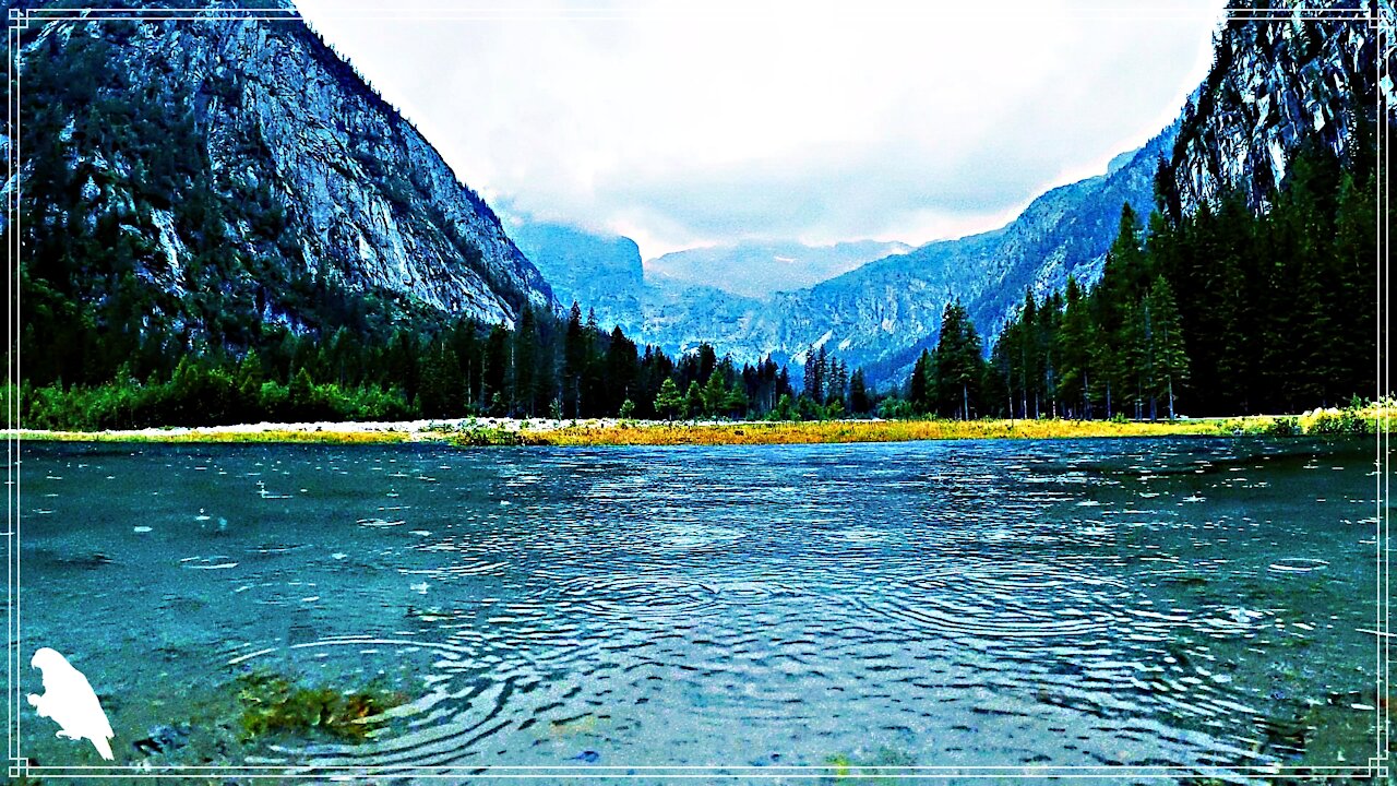 Rain sounds at the river sleep instantly @relaxedguy @naturezarelaxante