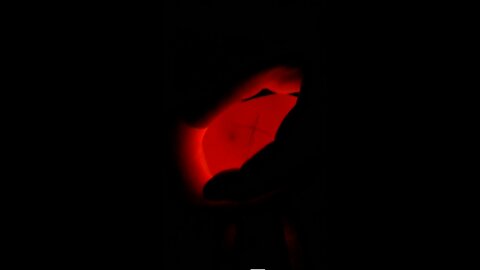 Life is Precious - Chicken Incubation video.