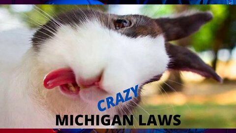 7 Top Craziest Michigan Laws