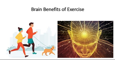Exercise & Memory
