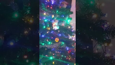 There is Something Alive and Moving in our Christmas Tree...