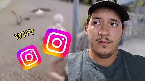 Watching Viral Instagram Videos 2
