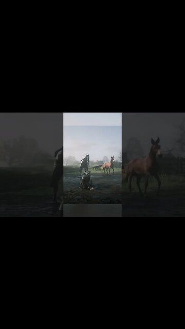 Horse Kicks Man IN THE FACE! 😅#shorts