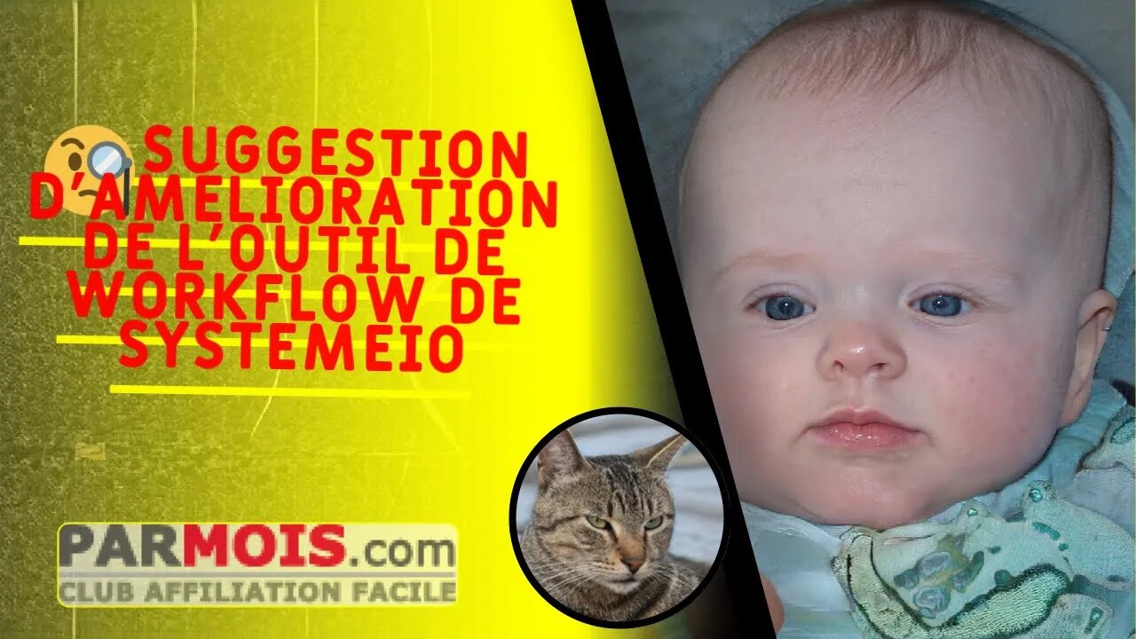 🧐 Suggestion d'amélioration de l'outil de workflow de SystemeIO
