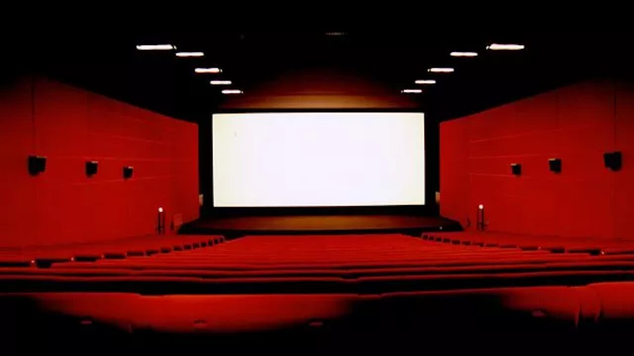 VIVE LE CINEMAS !