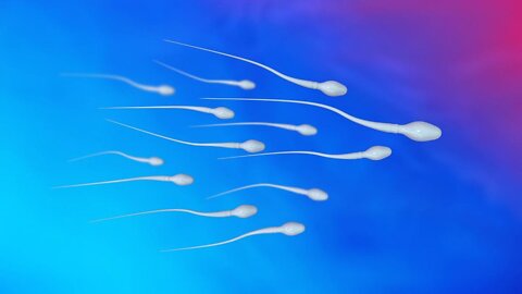 Pesquiza ALARMANTE Sobre a Queda De Percentagem de Espermatozoides