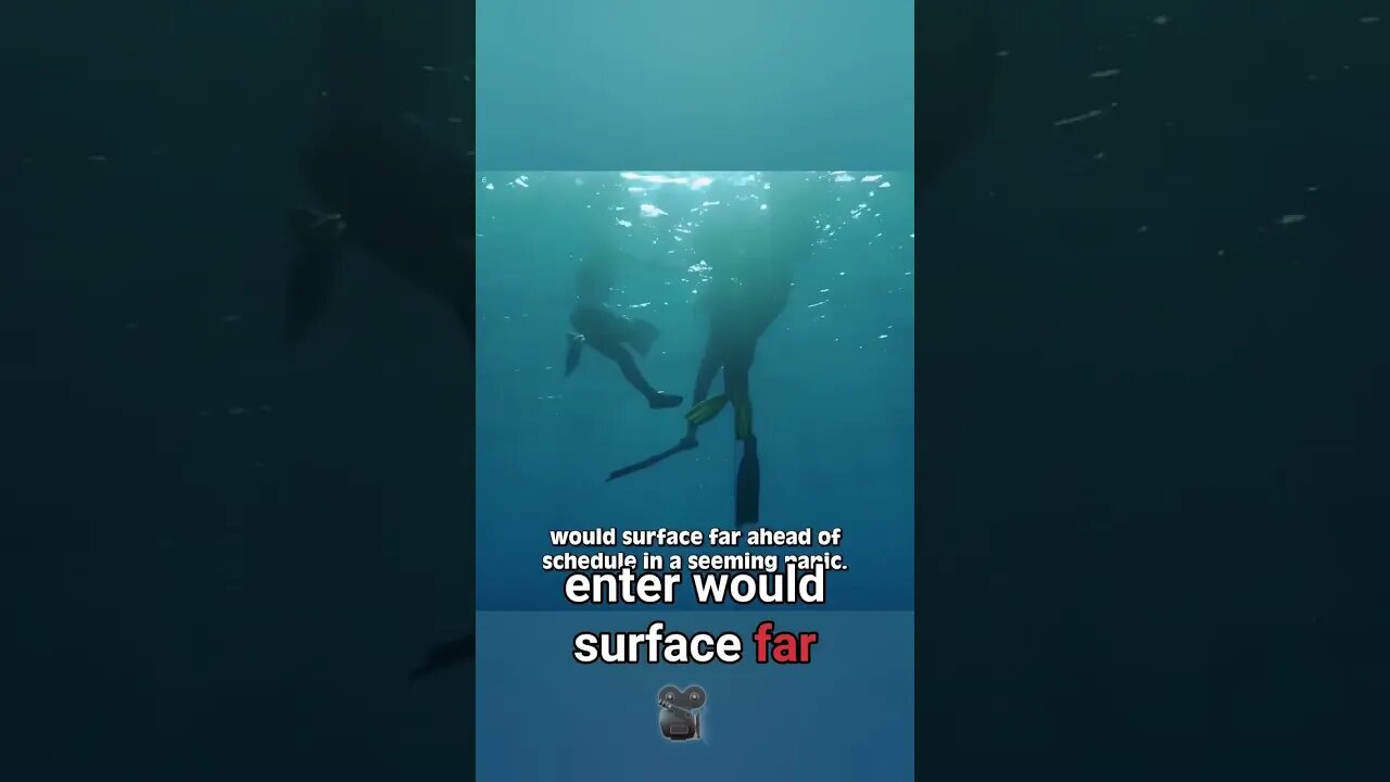 Damned Dam