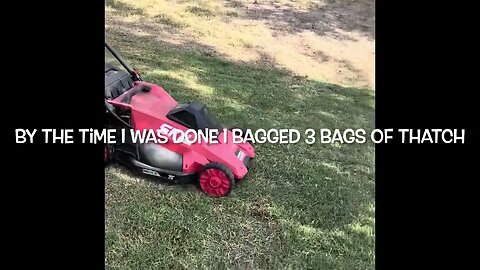 The best way to dethatch or scarify a lawn #viral #lawn #grass #mowing #bermuda #home #tahoma #sod