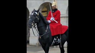 sword across chest #horseguardsparade