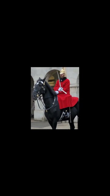 sword across chest #horseguardsparade