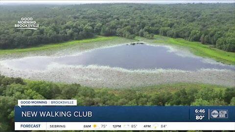 Walking Club: Exploring McKethan Lake Day Use Area near Brooksville