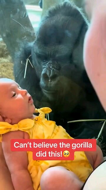 MY FRIEND WITH HIS DAD