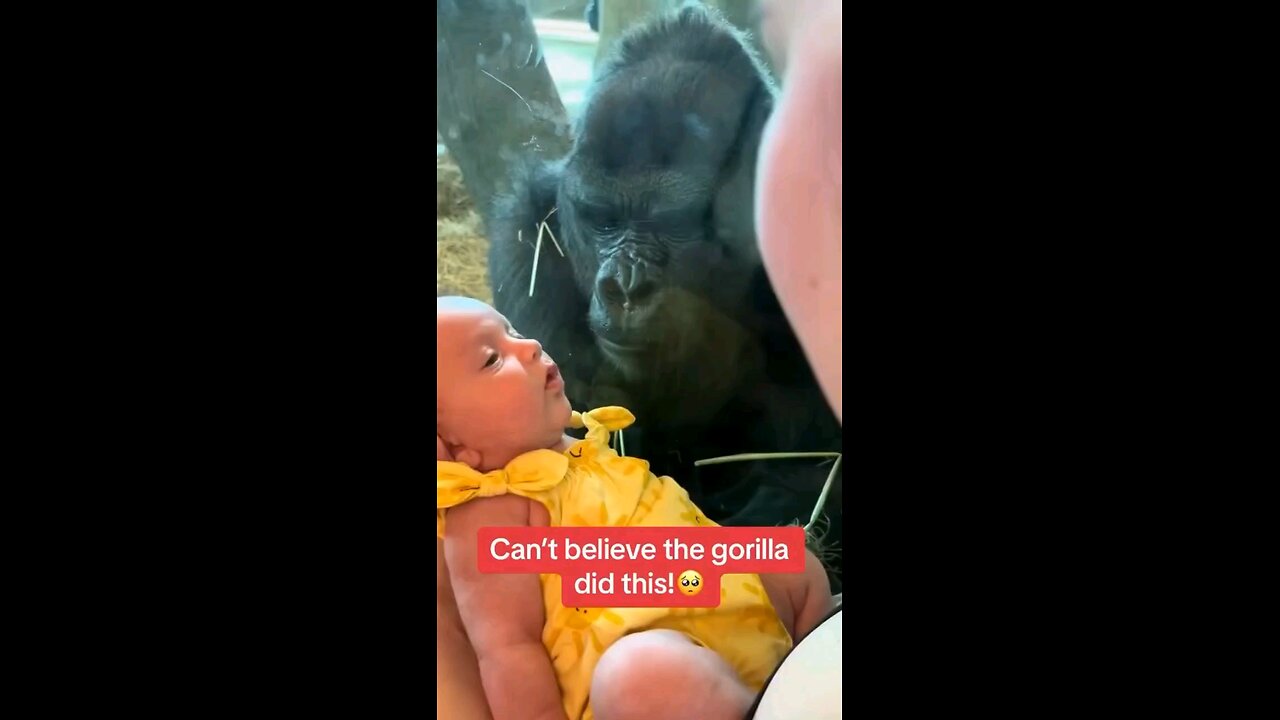 MY FRIEND WITH HIS DAD