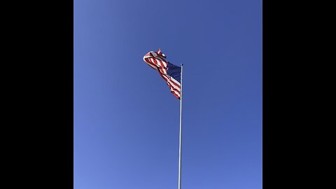 Land of the free, home of the brave
