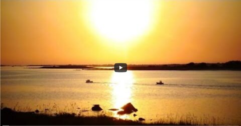 Mini live du 19 juillet