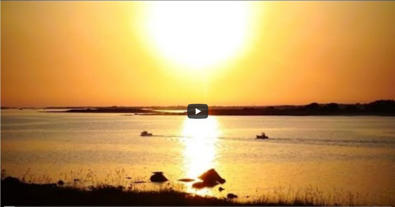 Mini live du 19 juillet