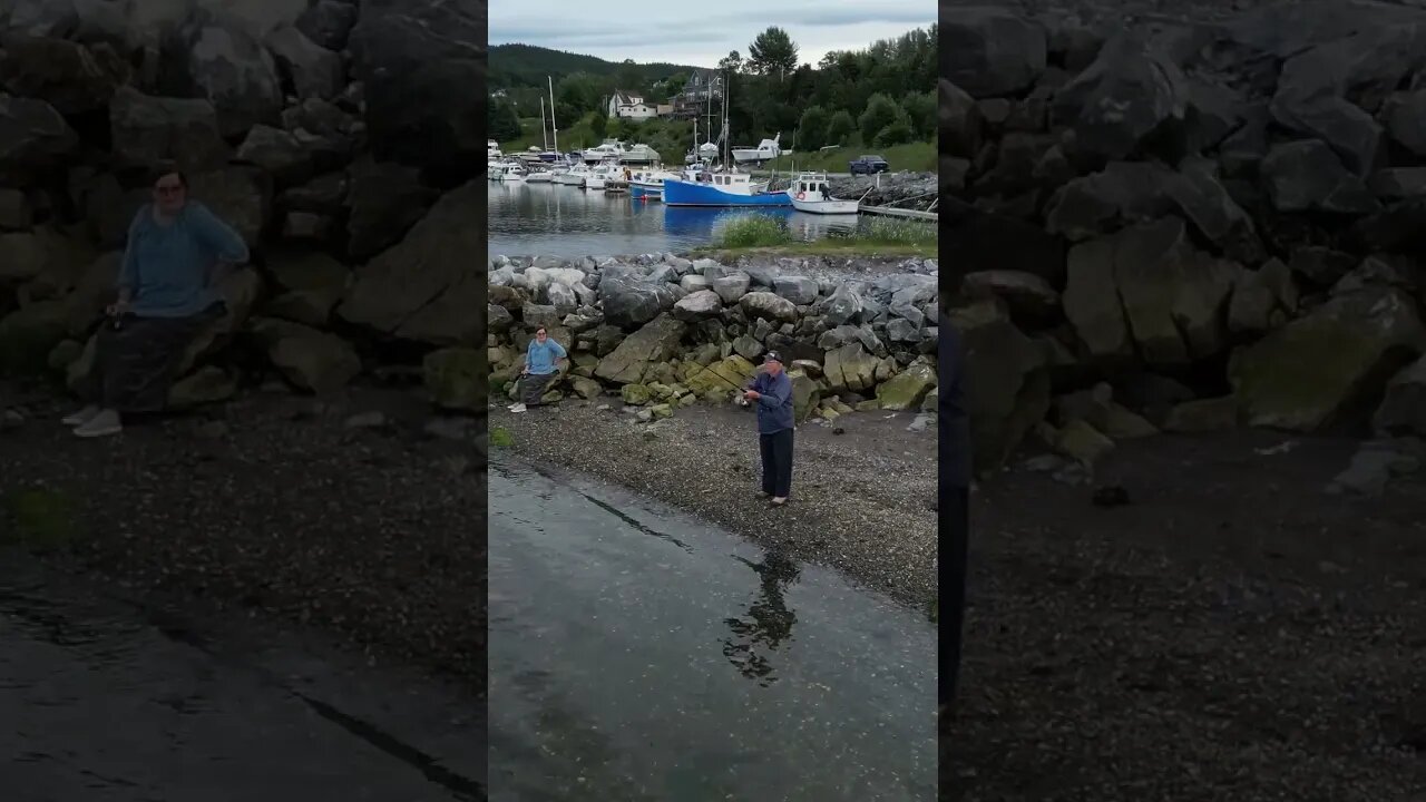 Newfoundlander's Maceral Fishing !