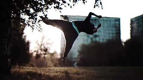 Summer 2014 parkour and freerunning