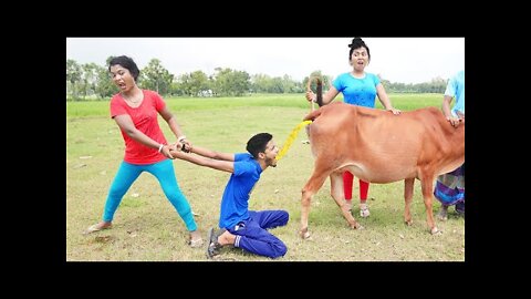 New very funny video on sale