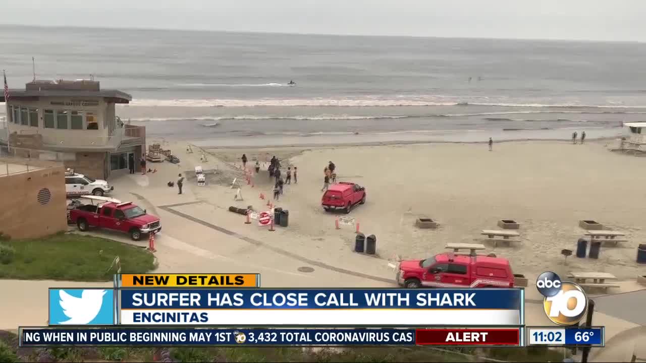 Surfer has close call with shark