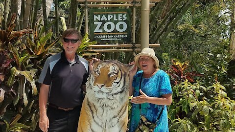 Naples Zoo