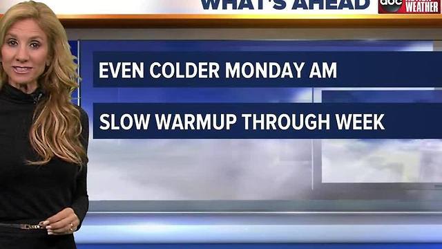 Action Weather Forecast