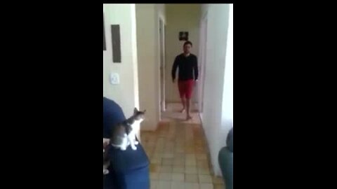 Fist bump